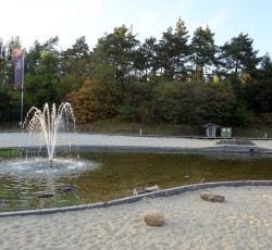 Holiday Camp