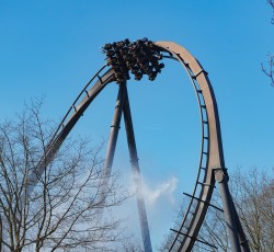Krake