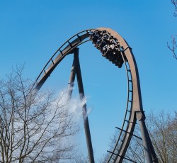 Krake