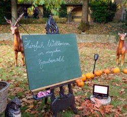 Der magische Zauberwald