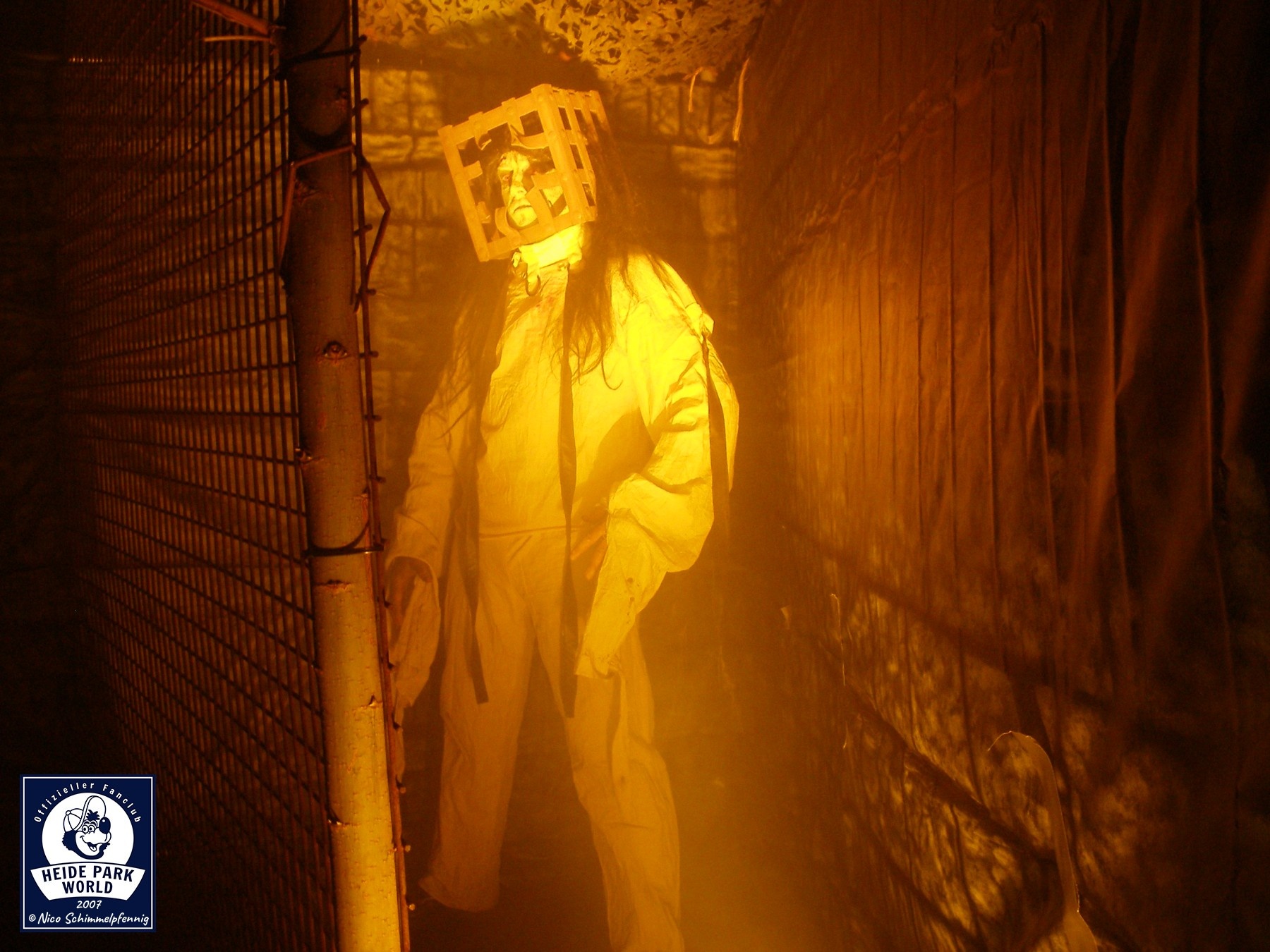 0710 ns forrest of fear 011