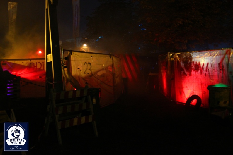 151030 Ks Verbotener Wald 04