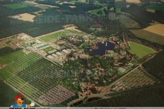 Luft_2005