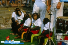 schimpansenshow_3