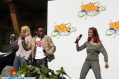 2003 NS Stars 004