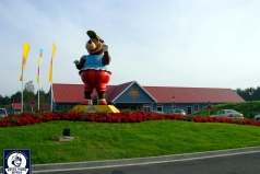 050826_ns_holidaycamp_007