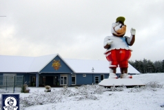 051217_ns_holidaycamp_002