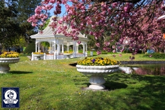 hpw_baublog_oldtimer_03