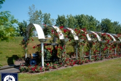 hpw_hpr_baublog_oldtimer_05