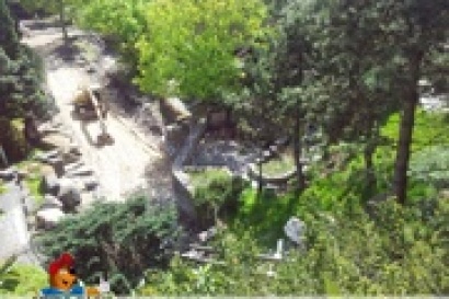 Von Vampiren, Fledermäusen und Transsilvanien