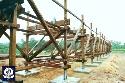 Die ersten Böcke stehen