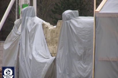 Action Bereich: Erste Fortschritte bei der Thematisierung - Februar 2009